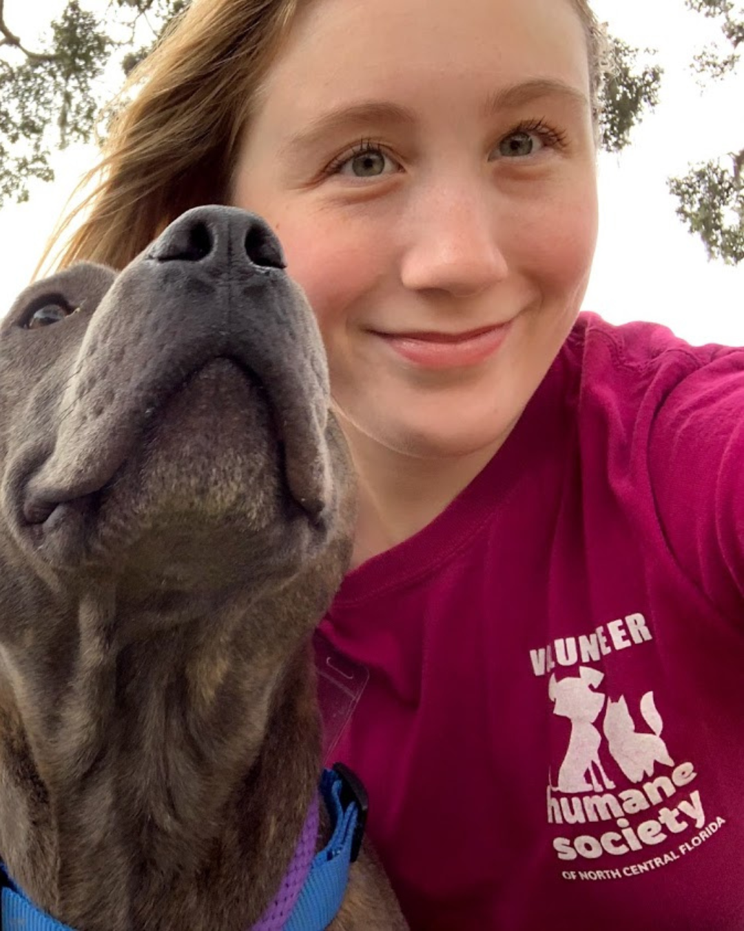 Website Volunteer (1)