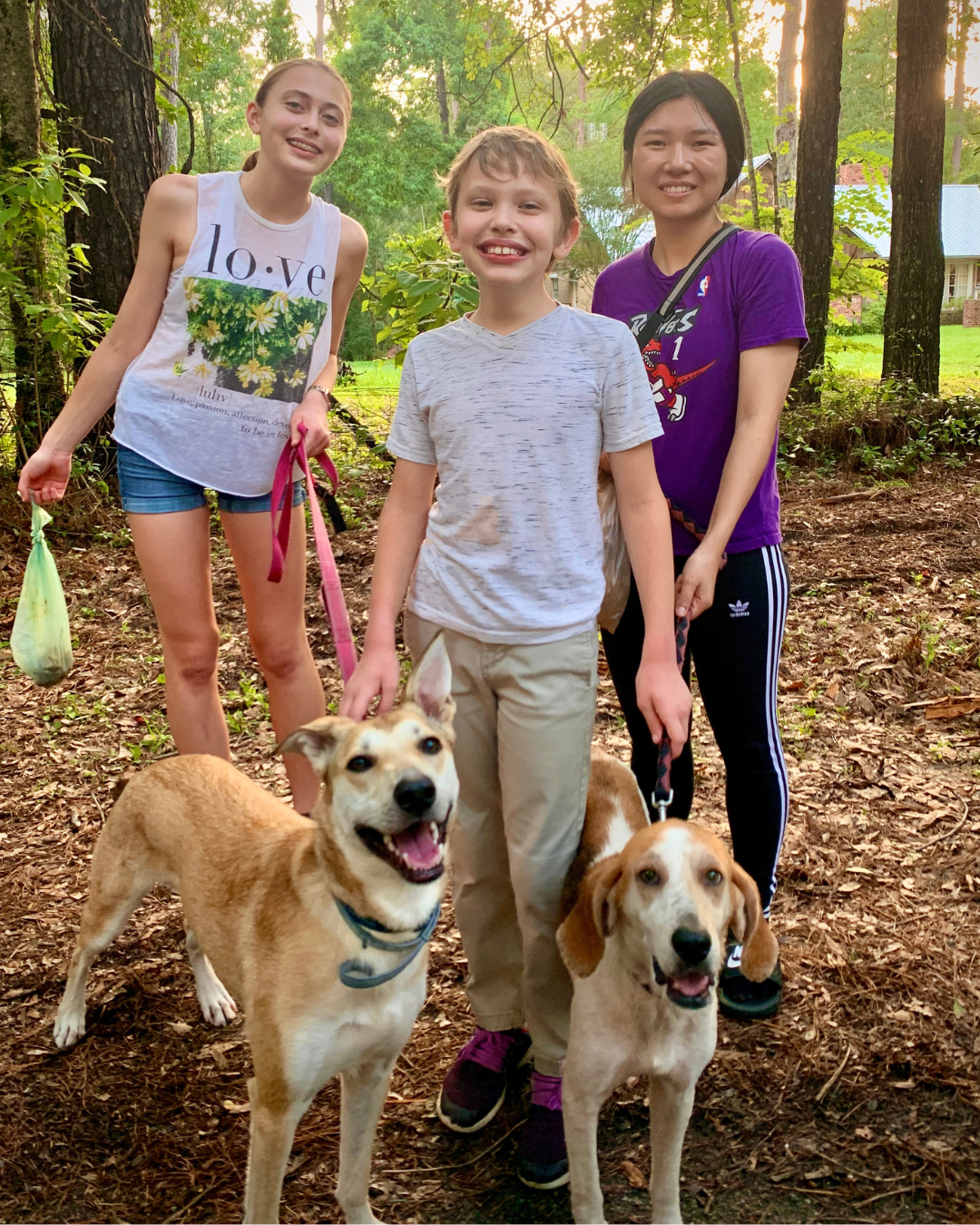 Website Volunteer (5)