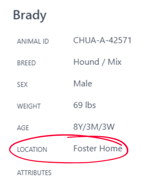 Location Foster Home