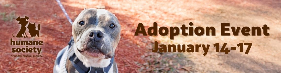 Adoption Event Jan 14-17 featuring Doug 