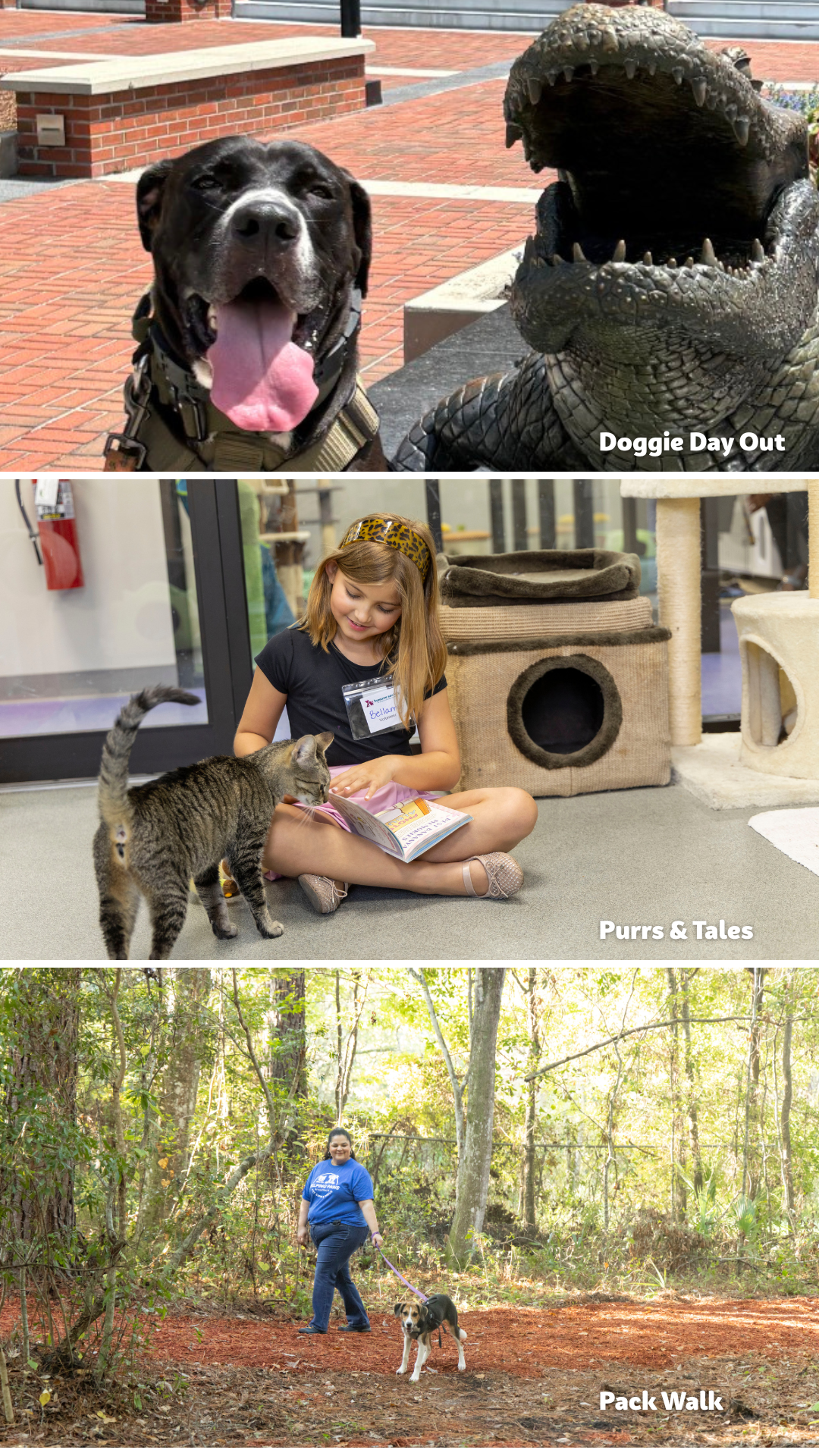 Doggie Day Out: Brutus with UF Gator<br />
Purrs & Tales: Child reading a book to a cat<br />
Pack Walk: Person walking a dog