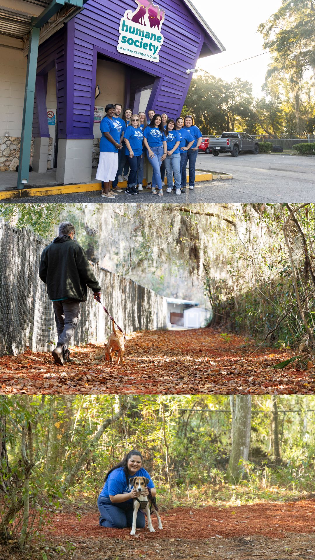 Pack Walk volunteers and dogs enjoying the 0.3 mile loop on our campus