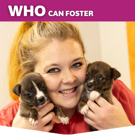 Who can foster, Foster with 2 cute puppies