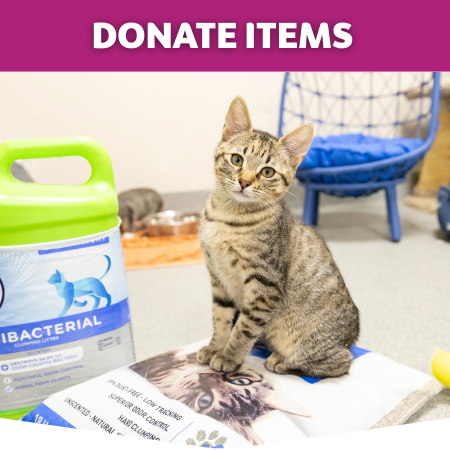 Donation Button for donating items with cat sitting on donated items