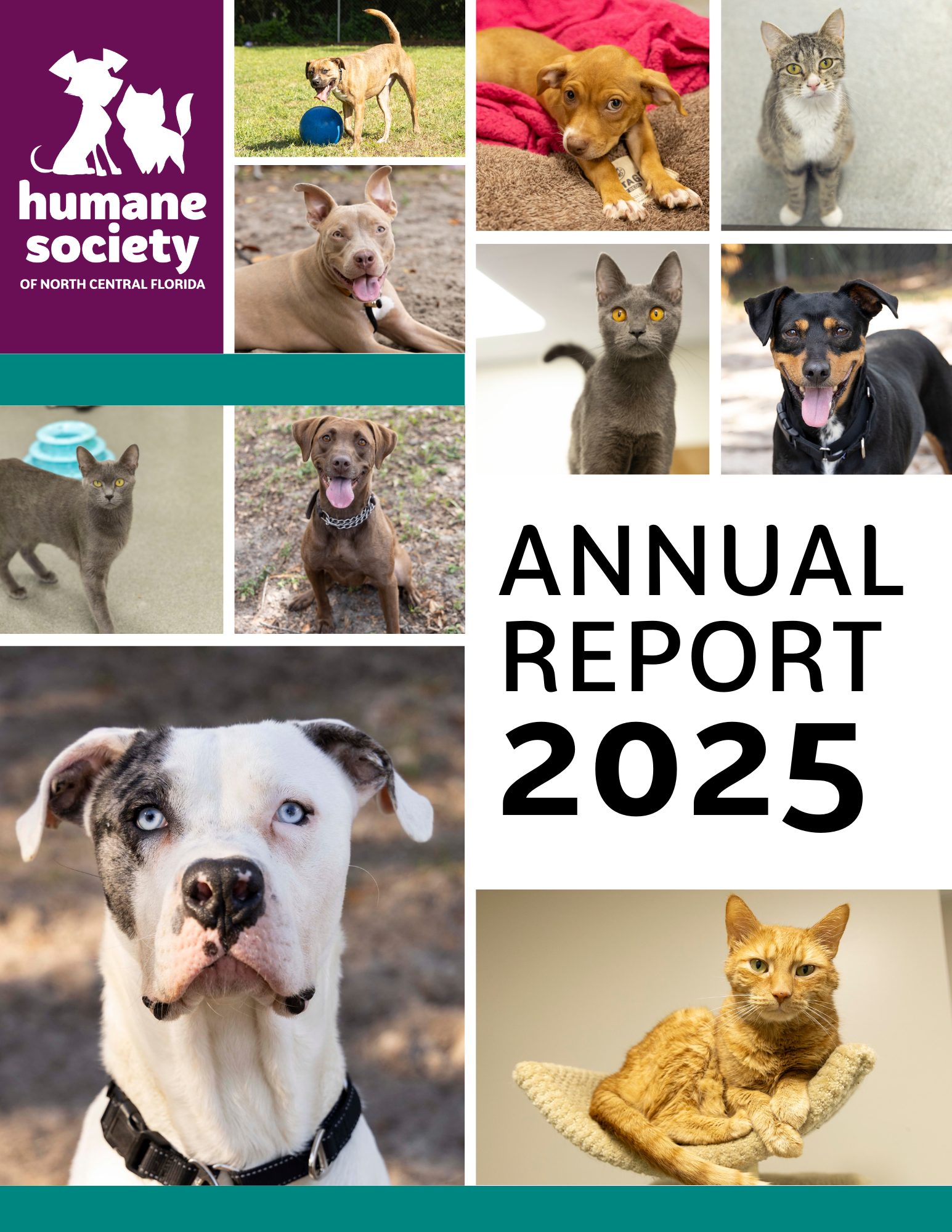 2025 Annual Report Title Page of the Annual Report 2025 linked to the file to download