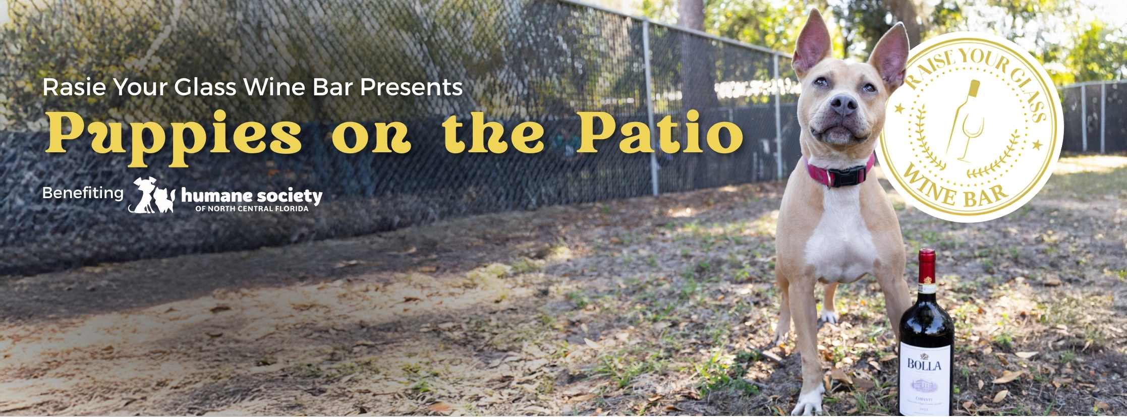 Puppies on the Patio Event hosted by Raise Your Glass Wine Bar Photo of Pookie with wine bottle