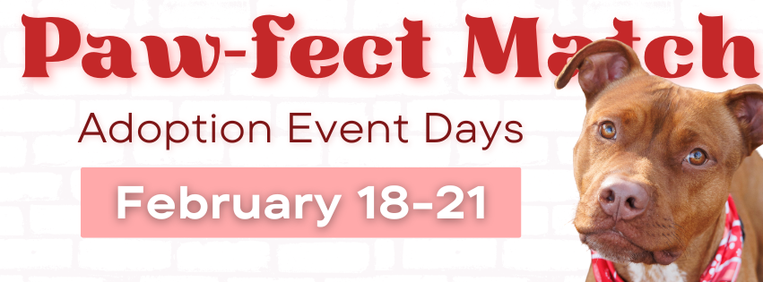 Adoption Event Flyer with Dog