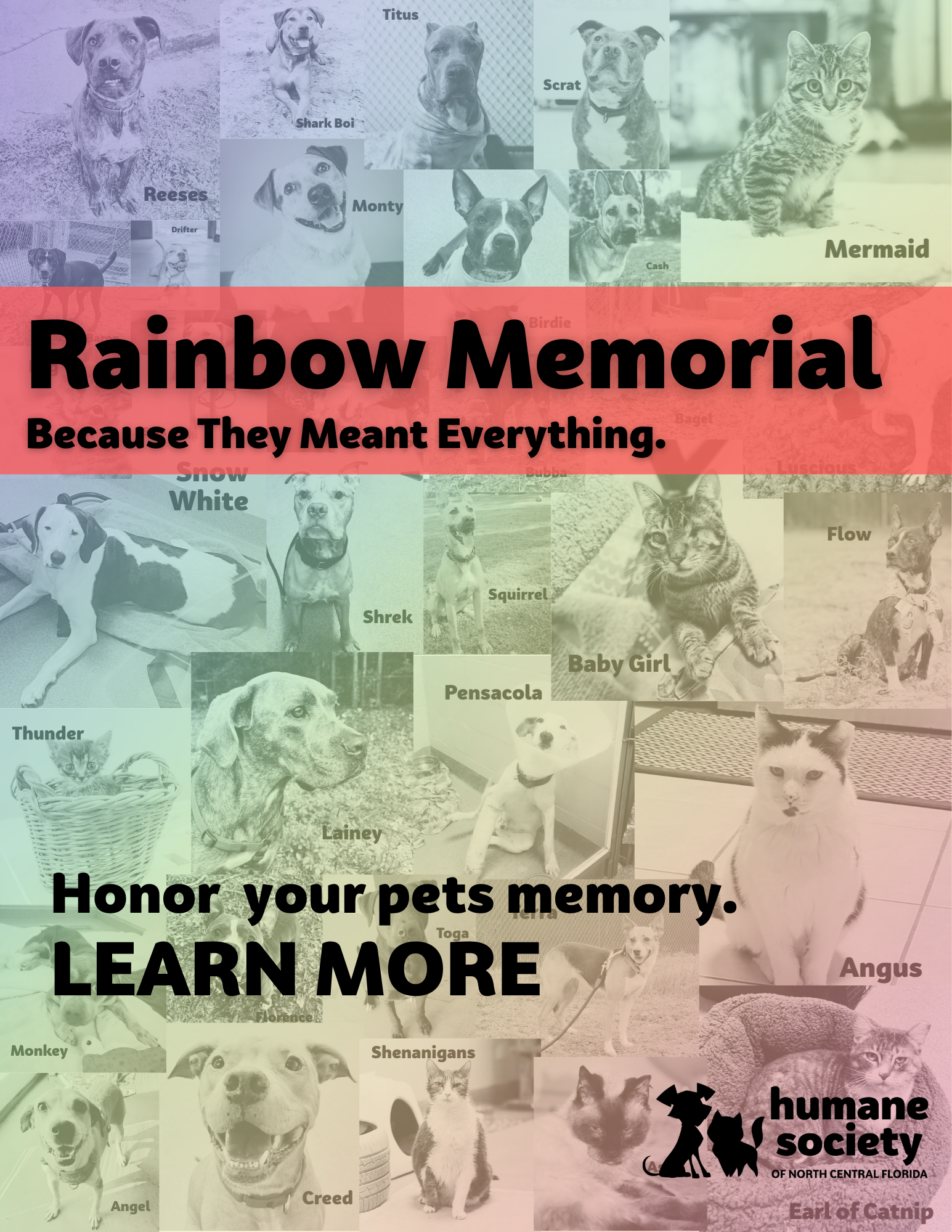 Rainbow Memorial