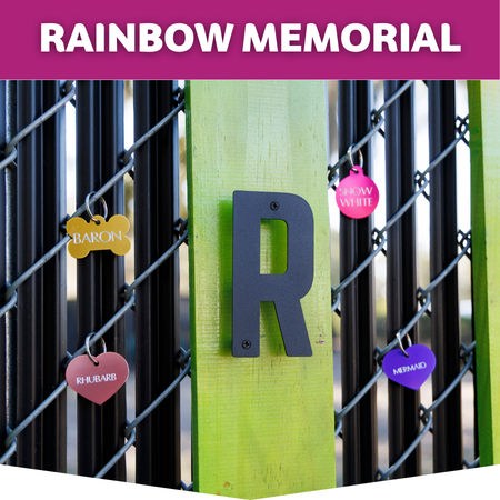 Rainbow Memorial donation button