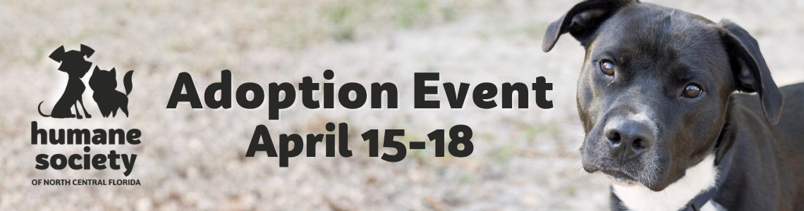 April Adoption Event