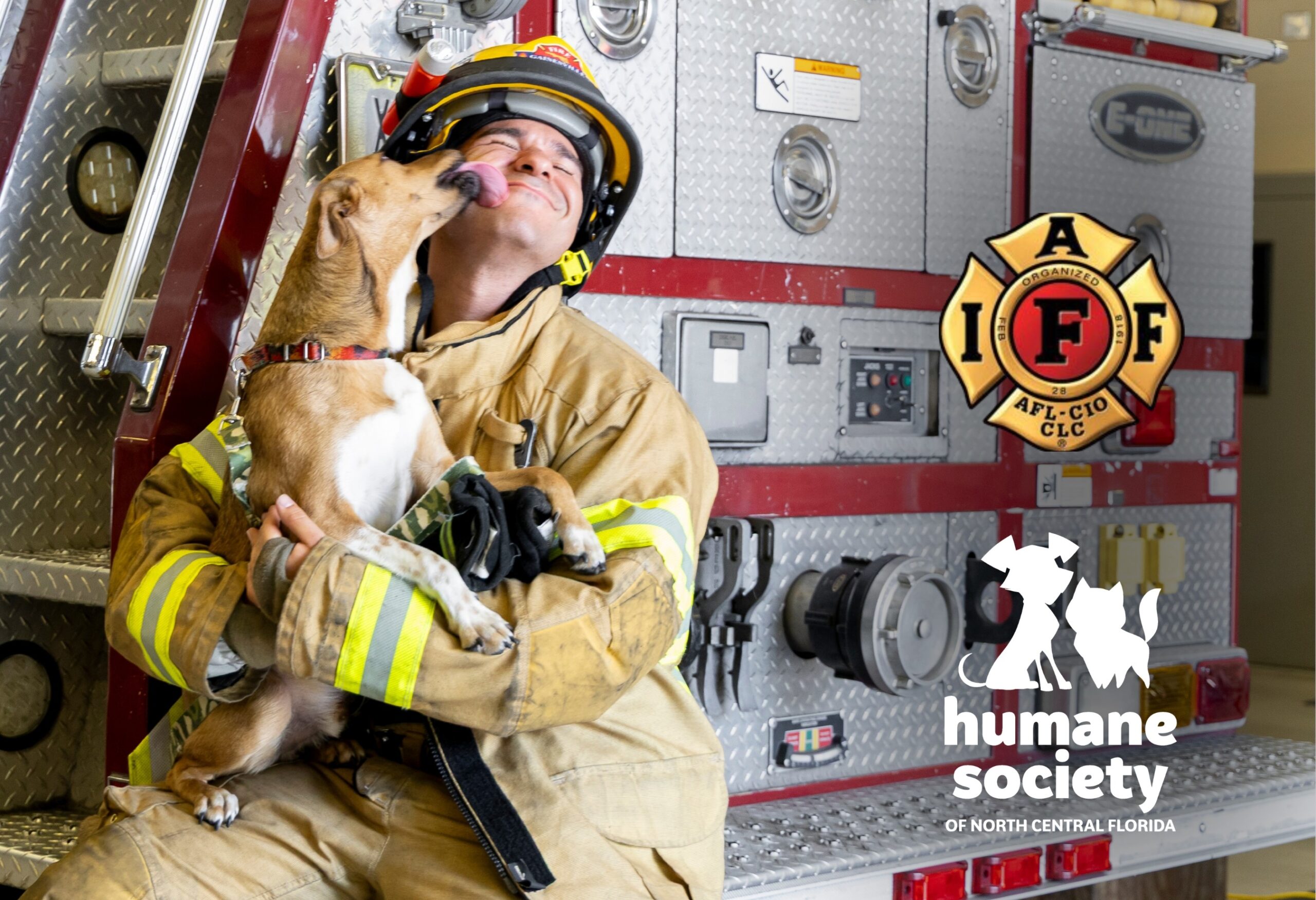 2027 Rescued Hearts Calendar