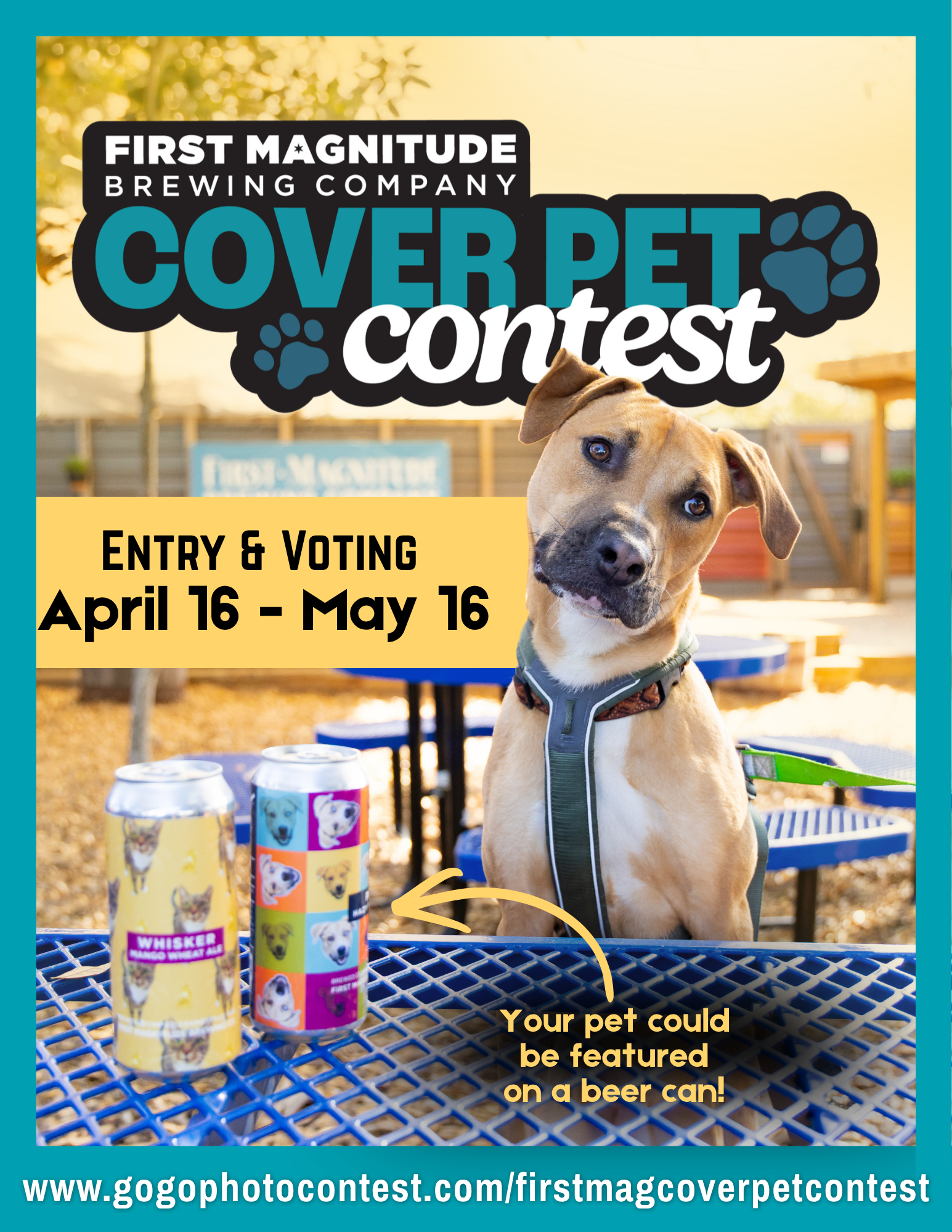 Pet Cover Contest