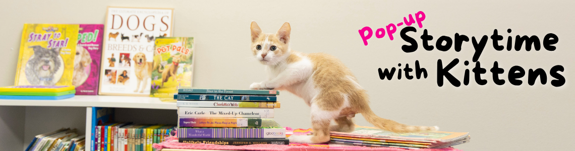 Kitten Storytime. Kitten with books
