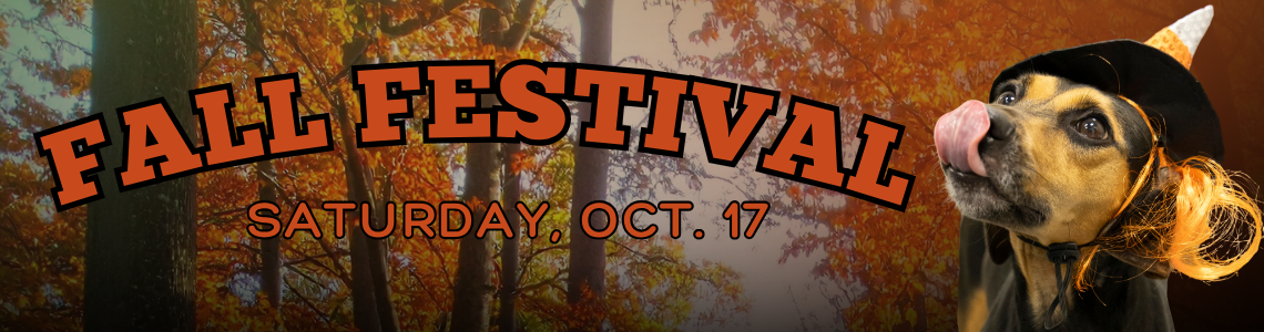 Fall Festival Cover