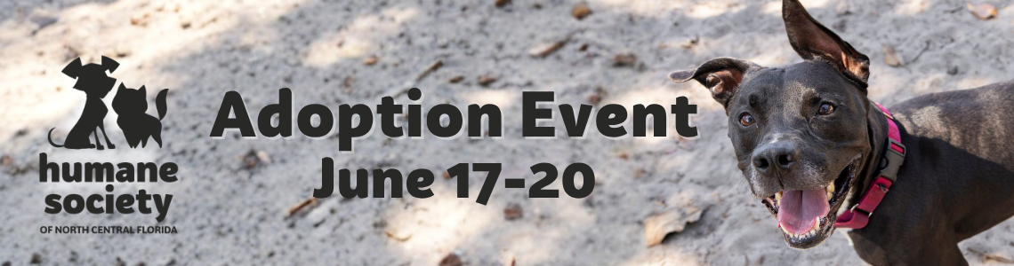 June Adoption Event Header with Blitz the Dog