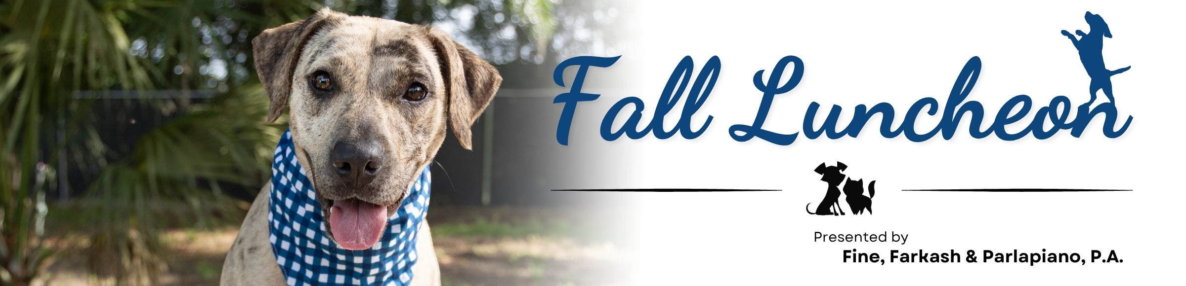 Fall Luncheon