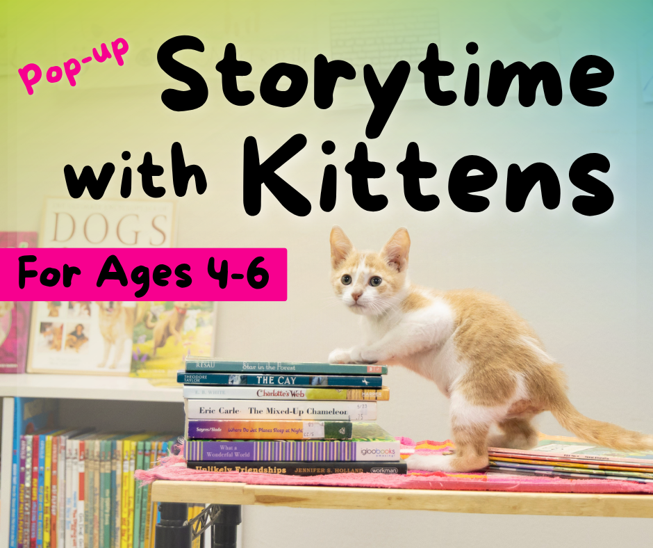 Story Time with Kittens