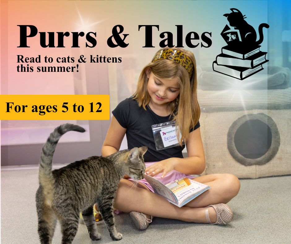 Reading to Cats and Kittens