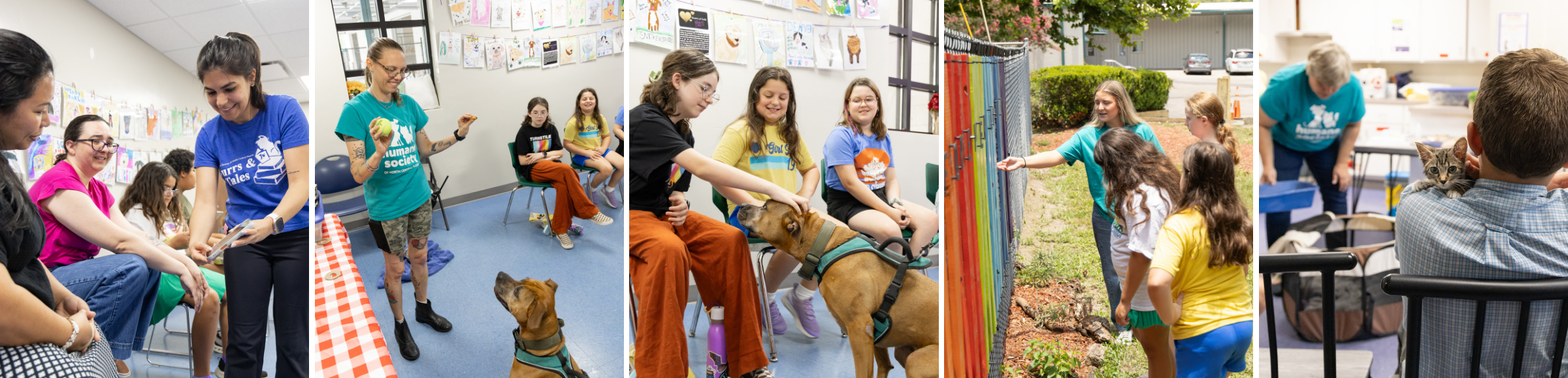 Field Trip at the Shelter