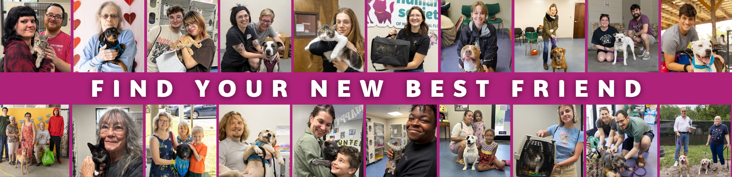 Adoptions at HSNCF