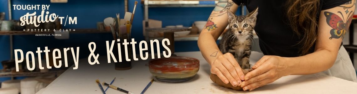 Pottery & Kittens