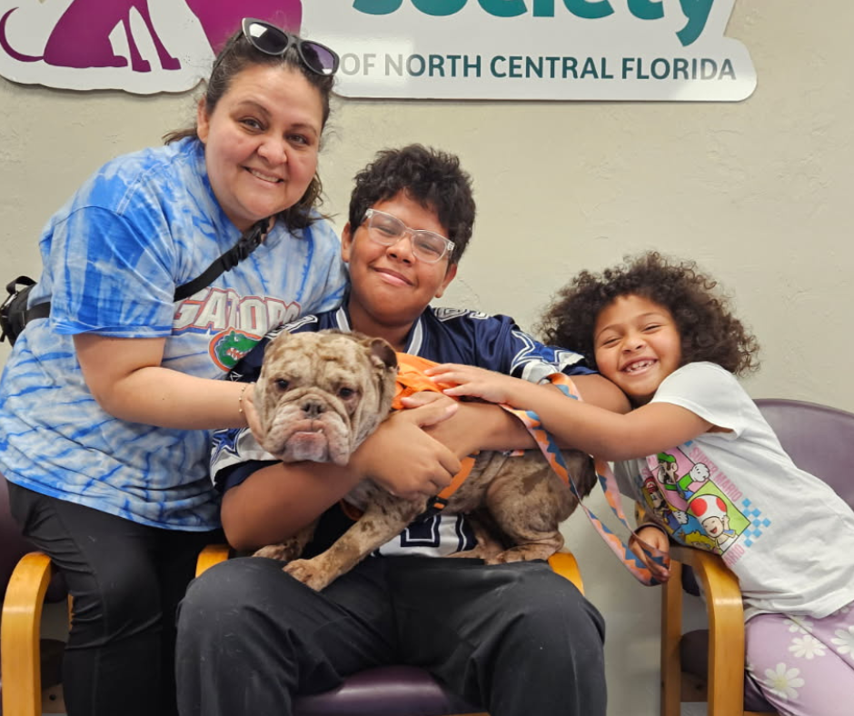 Adoption photo Oyster