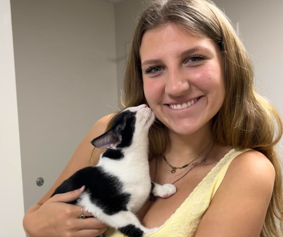 Cat Adoption Photo
