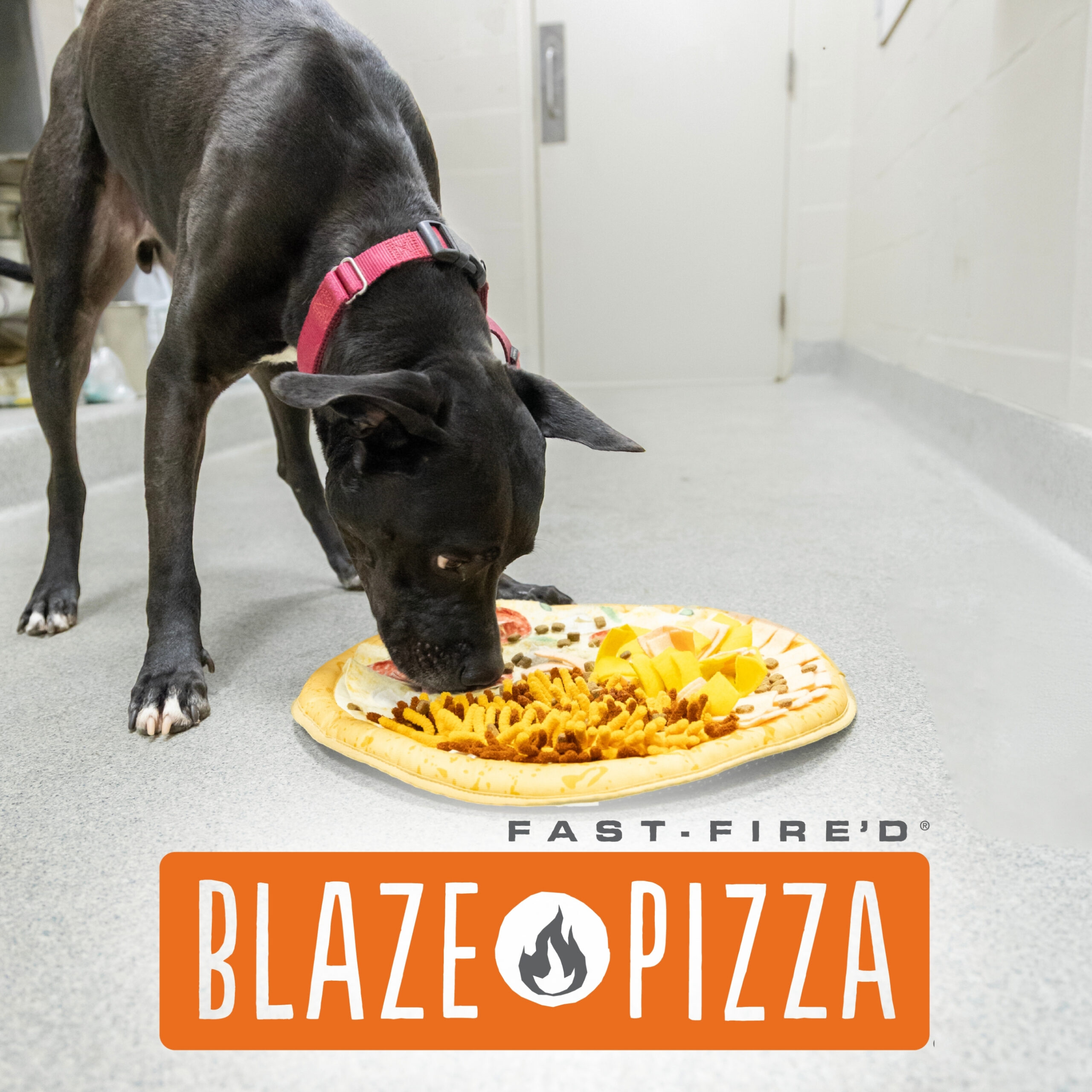 Blaze Pizza Fundraiser
