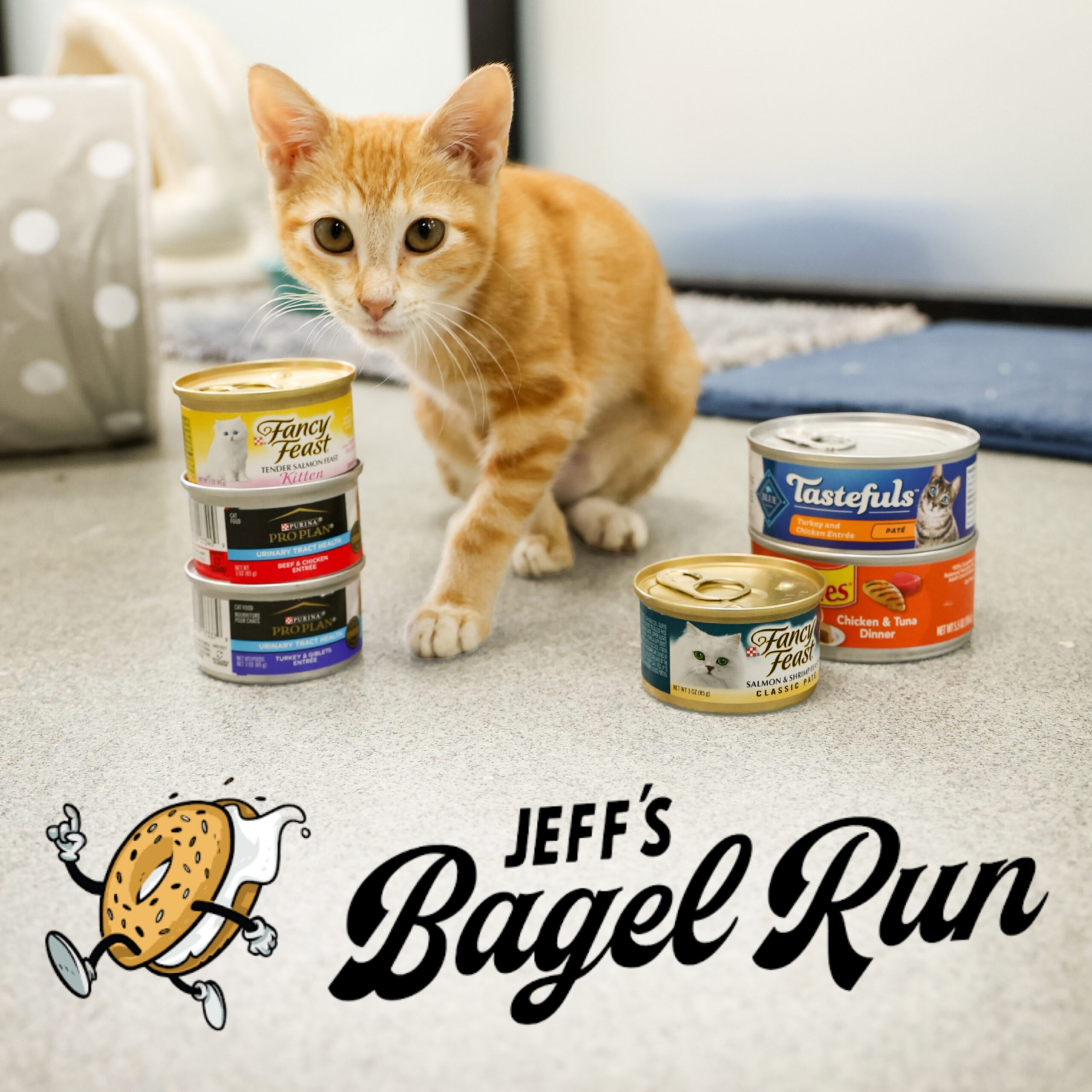 Jeffs Bagel Run fundraiser