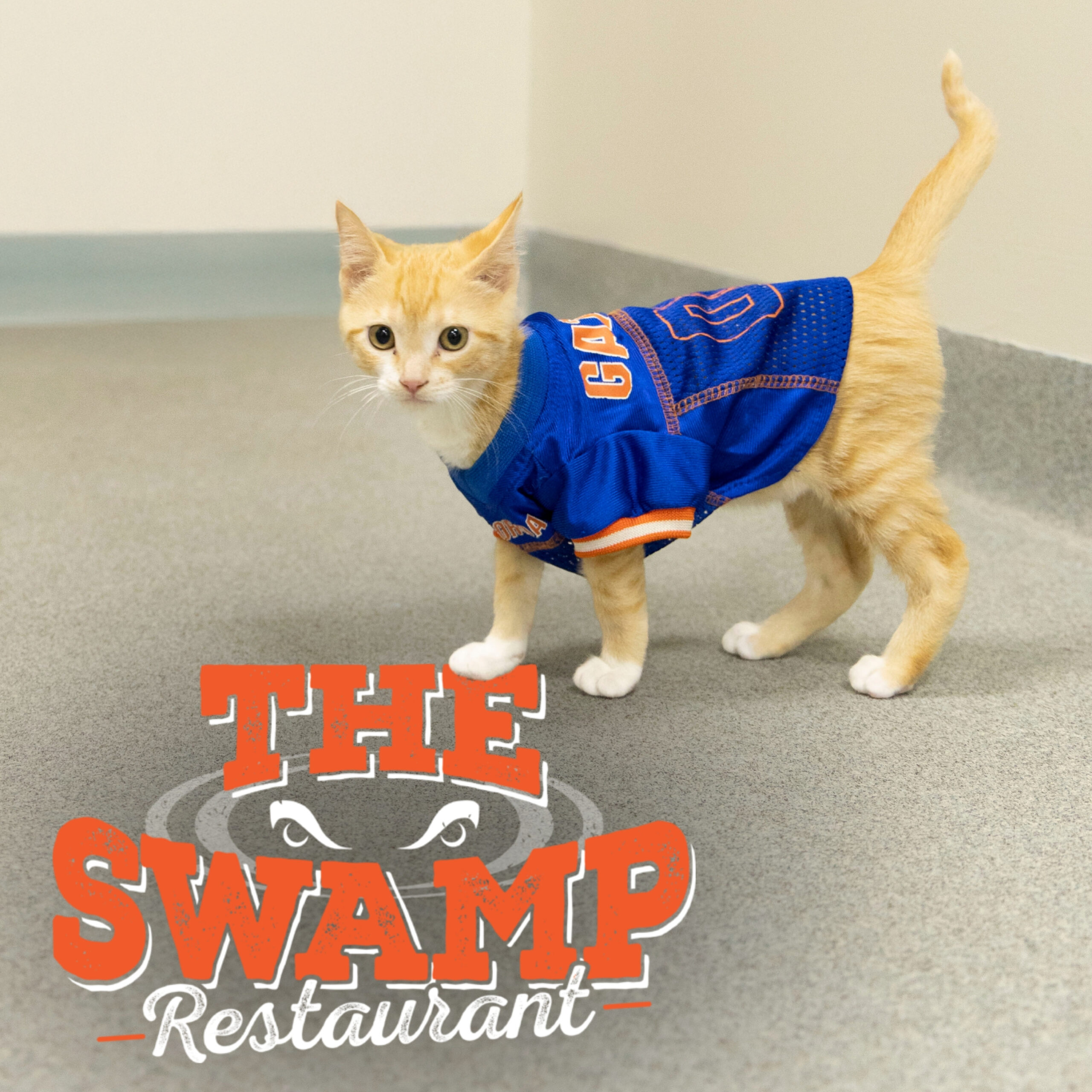 Swamp fundraiser