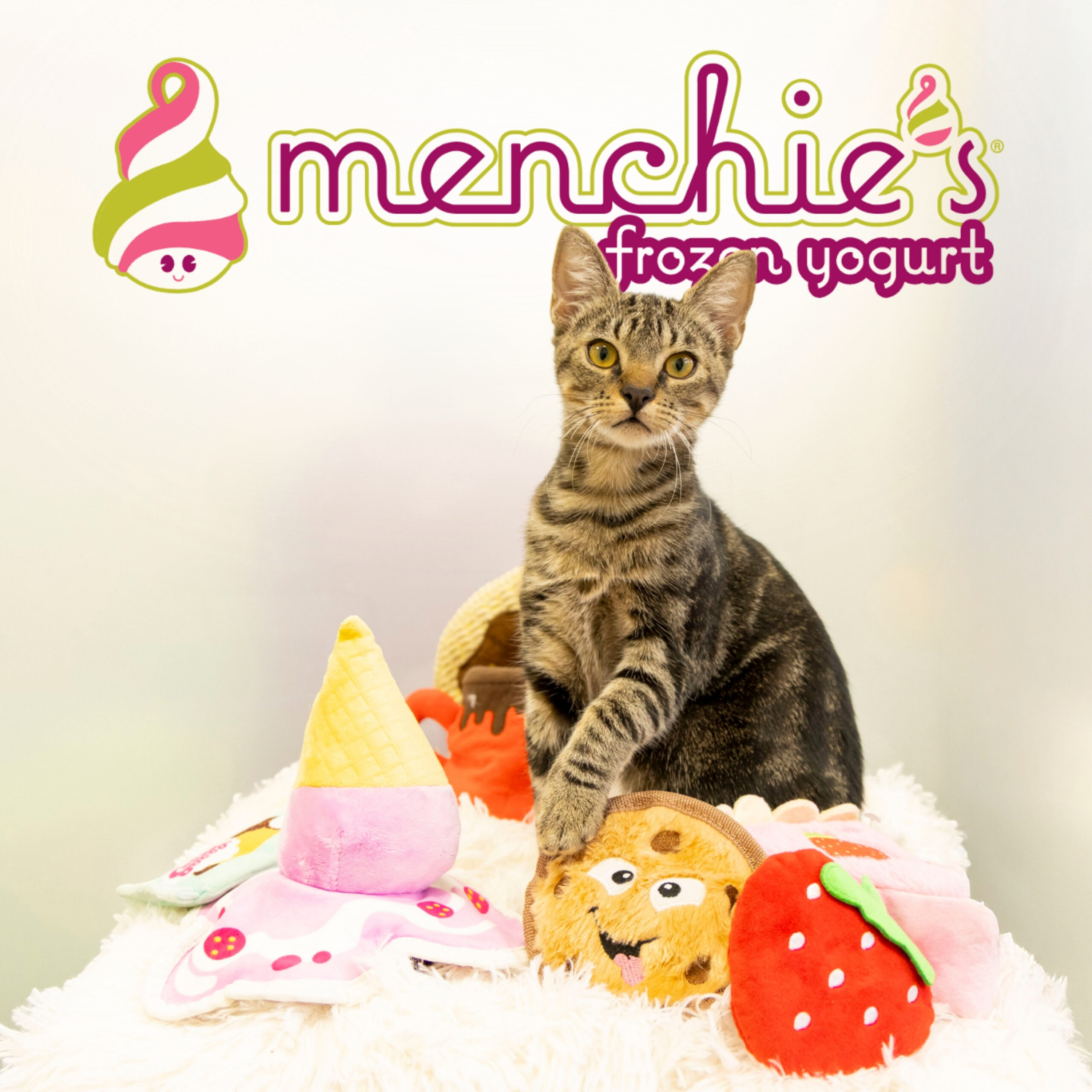 Menchie's fundraiser