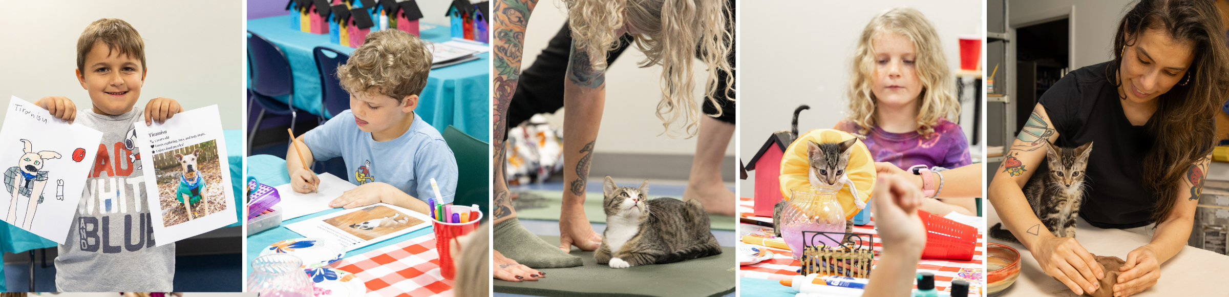 Whisker Workshops
