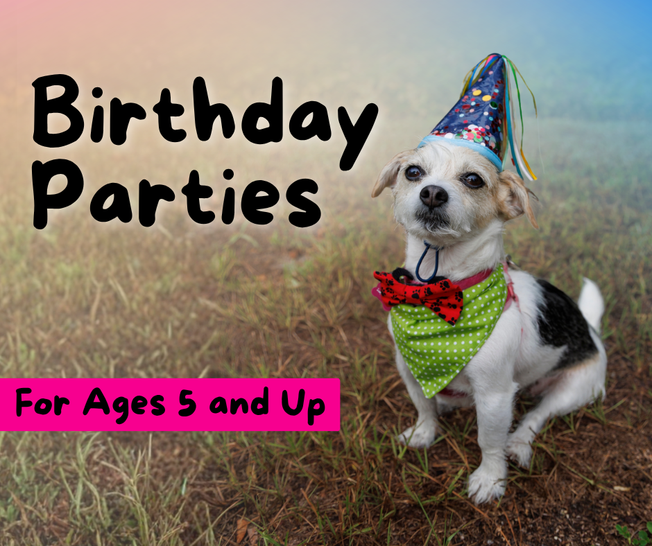 Website facebook size (7) Birthday Parties