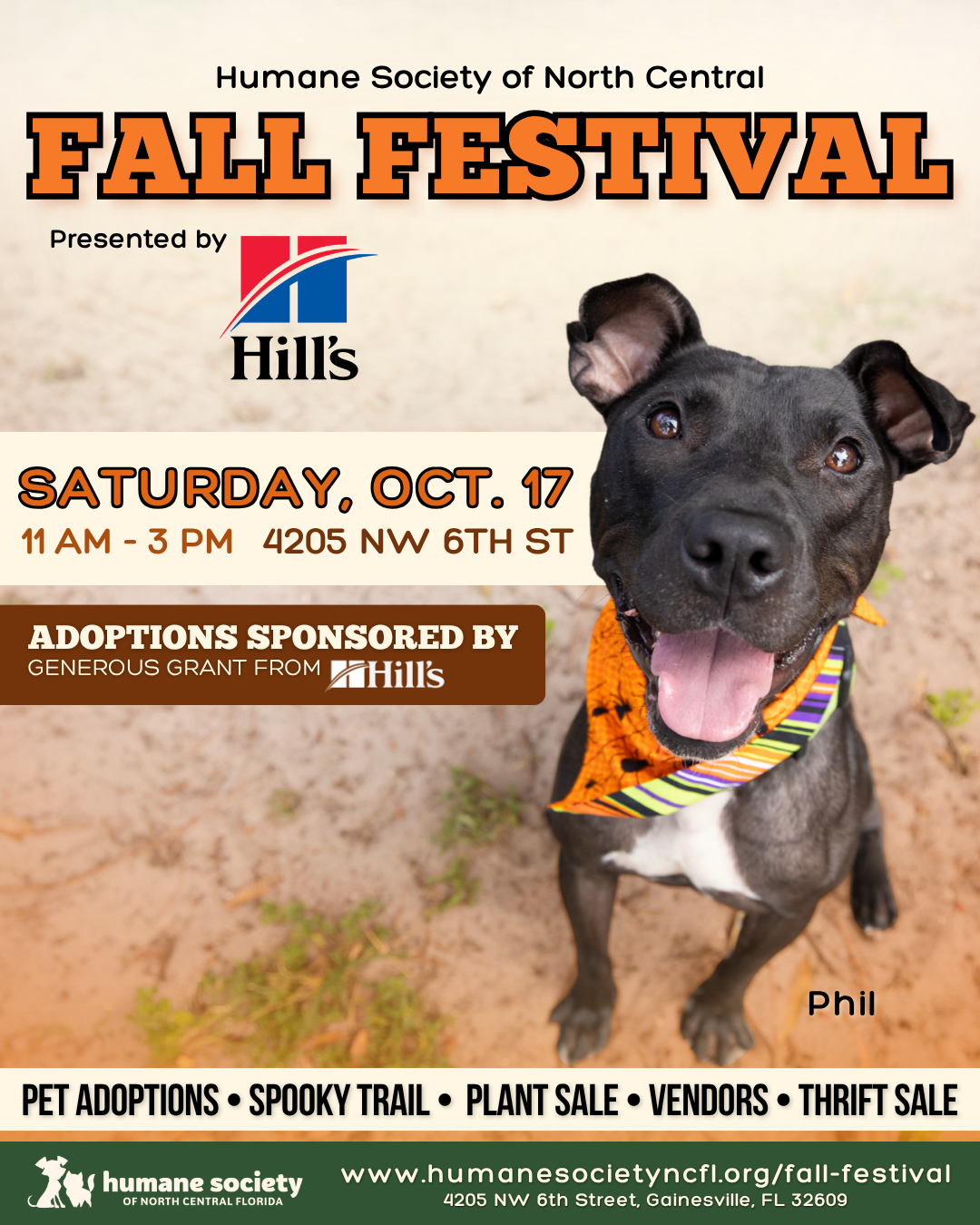 Fall Festival