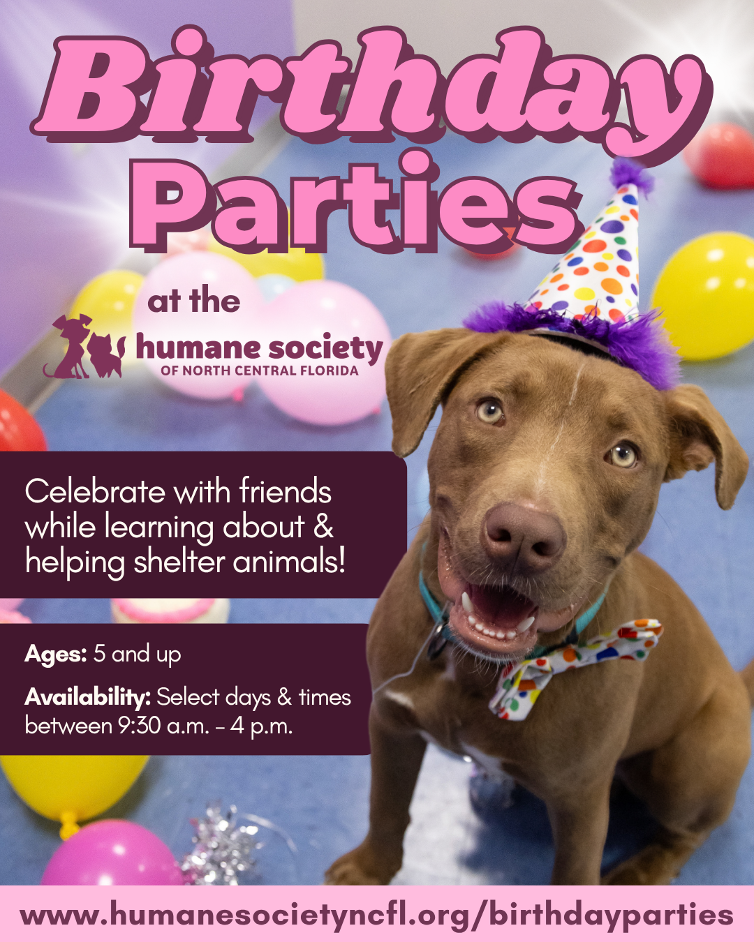 Learn More How to Celebrate your Birthday at the HSNCF